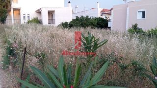 Οικόπεδο 383 τ.μ. προς ενοικίαση, Γαργηττός-thumb-5