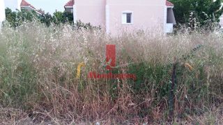 Οικόπεδο 383 τ.μ. προς ενοικίαση, Γαργηττός-thumb-22