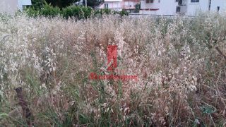 Οικόπεδο 383 τ.μ. προς ενοικίαση, Γαργηττός-thumb-20