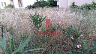 Οικόπεδο 383 τ.μ. προς ενοικίαση, Γαργηττός-thumb-6