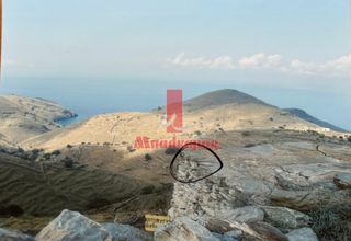Αγροτεμάχια 4.000 τ.μ. για πώληση