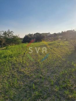 Αγροτεμάχια 9.040τ.μ. για πώληση-