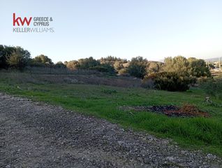 Αγροτεμάχια 608 τ.μ. για πώληση