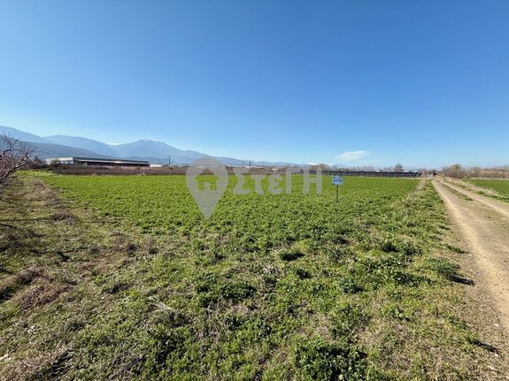 Αγροτεμάχια 5.400 τ.μ. για πώληση, Ημαθία, Νάουσα