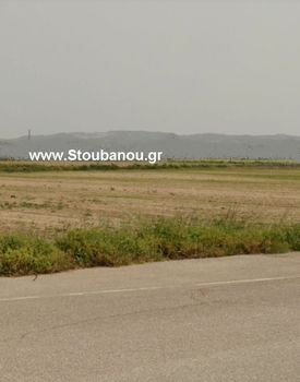 Parcel 4.000sqm for sale-Amaliada » Kouroutas