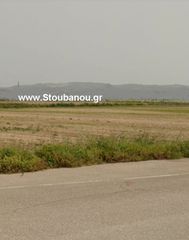 Αγροτεμάχια 4.000 τ.μ. για πώληση