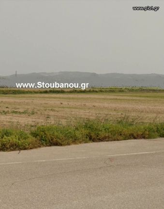 Αγροτεμάχια 4.000 τ.μ. για πώληση, Ν. Ηλείας, Αμαλιάδα