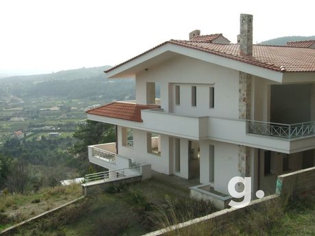 Μονοκατοικία 550 τ.μ. για πώληση