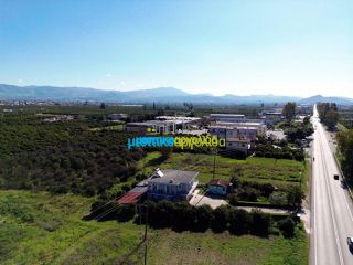 Οικόπεδο 8.020 τ.μ. για πώληση, Αργολίδα, Άργος-thumb-7