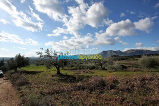 Οικόπεδο 17.000 τ.μ. για πώληση, Αργολίδα, Κουτσοπόδι-thumb-6