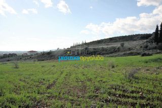 Οικόπεδο 17.000 τ.μ. για πώληση, Αργολίδα, Κουτσοπόδι-thumb-20