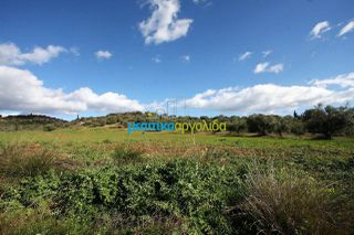 Οικόπεδο 17.000 τ.μ. για πώληση, Αργολίδα, Κουτσοπόδι-thumb-8