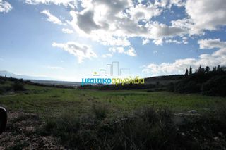 Οικόπεδο 17.000 τ.μ. για πώληση, Αργολίδα, Κουτσοπόδι-thumb-17