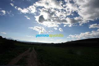 Οικόπεδο 17.000 τ.μ. για πώληση, Αργολίδα, Κουτσοπόδι-thumb-21