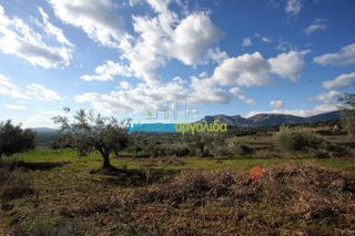 Οικόπεδο 17.000 τ.μ. για πώληση, Αργολίδα, Κουτσοπόδι-thumb-5