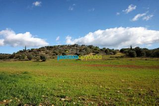 Οικόπεδο 17.000 τ.μ. για πώληση, Αργολίδα, Κουτσοπόδι-thumb-13