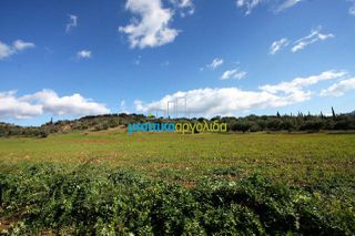 Οικόπεδο 17.000 τ.μ. για πώληση, Αργολίδα, Κουτσοπόδι-thumb-11