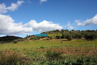 Οικόπεδο 17.000 τ.μ. για πώληση, Αργολίδα, Κουτσοπόδι-thumb-9