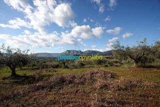 Οικόπεδο 17.000 τ.μ. για πώληση, Αργολίδα, Κουτσοπόδι-thumb-4