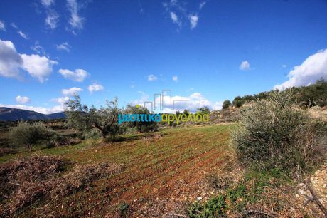 Land plot 17.000sqm for sale-Koutsopodi