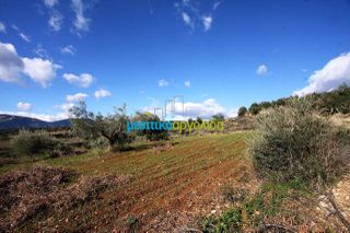 Οικόπεδο 17.000 τ.μ. για πώληση