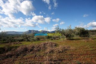 Οικόπεδο 17.000 τ.μ. για πώληση, Αργολίδα, Κουτσοπόδι-thumb-3