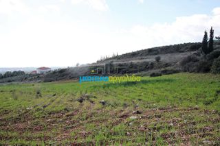 Οικόπεδο 17.000 τ.μ. για πώληση, Αργολίδα, Κουτσοπόδι-thumb-19