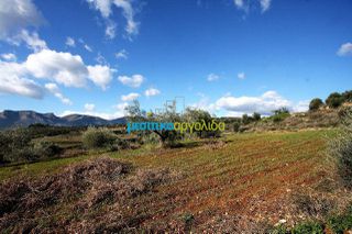Οικόπεδο 17.000 τ.μ. για πώληση, Αργολίδα, Κουτσοπόδι-thumb-1
