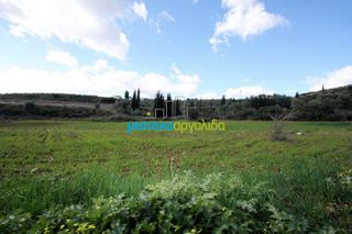Οικόπεδο 17.000 τ.μ. για πώληση, Αργολίδα, Κουτσοπόδι-thumb-22