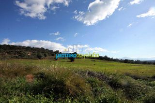 Οικόπεδο 17.000 τ.μ. για πώληση, Αργολίδα, Κουτσοπόδι-thumb-16
