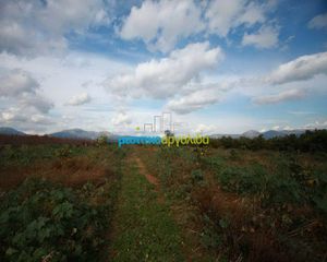 Αγροτεμάχια 8.000 τ.μ. για πώληση, Αργολίδα, Άργος-thumb-1