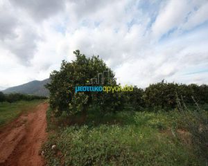 Αγροτεμάχια 9.500 τ.μ. για πώληση, Αργολίδα, Άργος-thumb-7