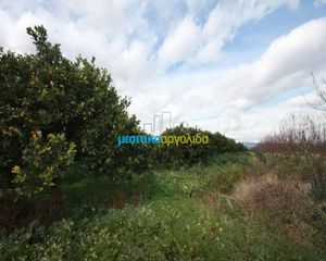 Αγροτεμάχια 9.500 τ.μ. για πώληση, Αργολίδα, Άργος-thumb-8