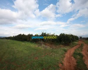 Αγροτεμάχια 9.500 τ.μ. για πώληση, Αργολίδα, Άργος-thumb-2