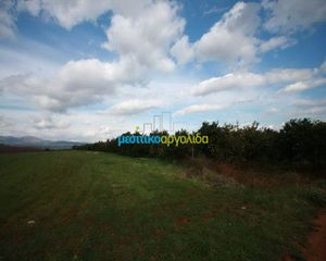 Αγροτεμάχια 9.500 τ.μ. για πώληση, Αργολίδα, Άργος-thumb-1