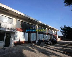 Επιχειρηματικό κτίριο 1.000 τ.μ. για ενοικίαση, Αργολίδα, Άργος-thumb-1