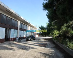 Επιχειρηματικό κτίριο 1.000 τ.μ. για ενοικίαση, Αργολίδα, Άργος-thumb-2