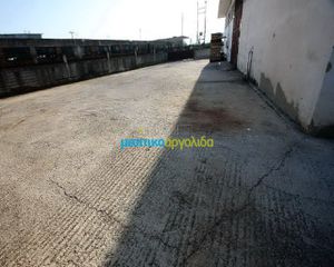 Επιχειρηματικό κτίριο 1.000 τ.μ. για ενοικίαση, Αργολίδα, Άργος-thumb-3
