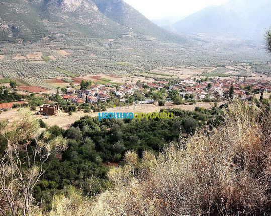 Οικόπεδο 28.268 τ.μ. για πώληση, Αργολίδα, Λύρκεια