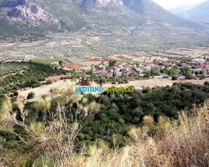 Οικόπεδο 28.268 τ.μ. για πώληση, Αργολίδα, Λύρκεια-thumb-1