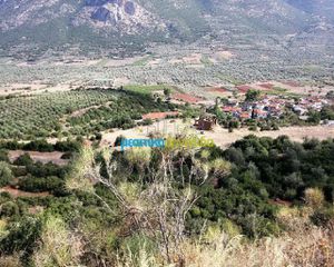 Οικόπεδο 28.268 τ.μ. για πώληση, Αργολίδα, Λύρκεια-thumb-2