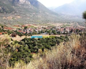Οικόπεδο 28.268 τ.μ. για πώληση, Αργολίδα, Λύρκεια-thumb-7