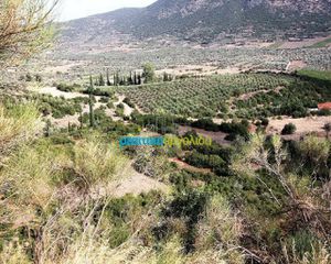 Οικόπεδο 28.268 τ.μ. για πώληση, Αργολίδα, Λύρκεια-thumb-4