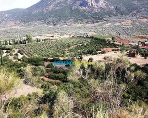 Οικόπεδο 28.268 τ.μ. για πώληση, Αργολίδα, Λύρκεια-thumb-3