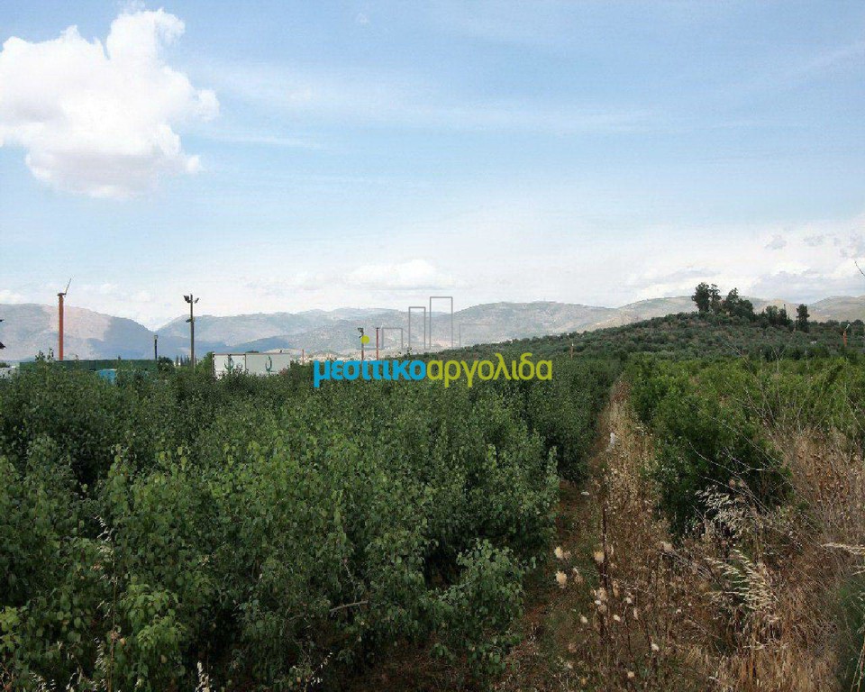 Αγροτεμάχια 4.000 τ.μ. προς πώληση, Αργολίδα, Νέα Τίρυνθα