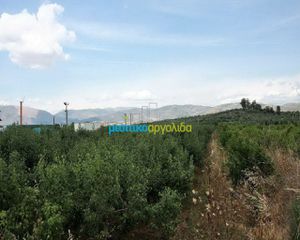 Αγροτεμάχια 4.000 τ.μ. προς πώληση, Αργολίδα, Νέα Τίρυνθα-thumb-2