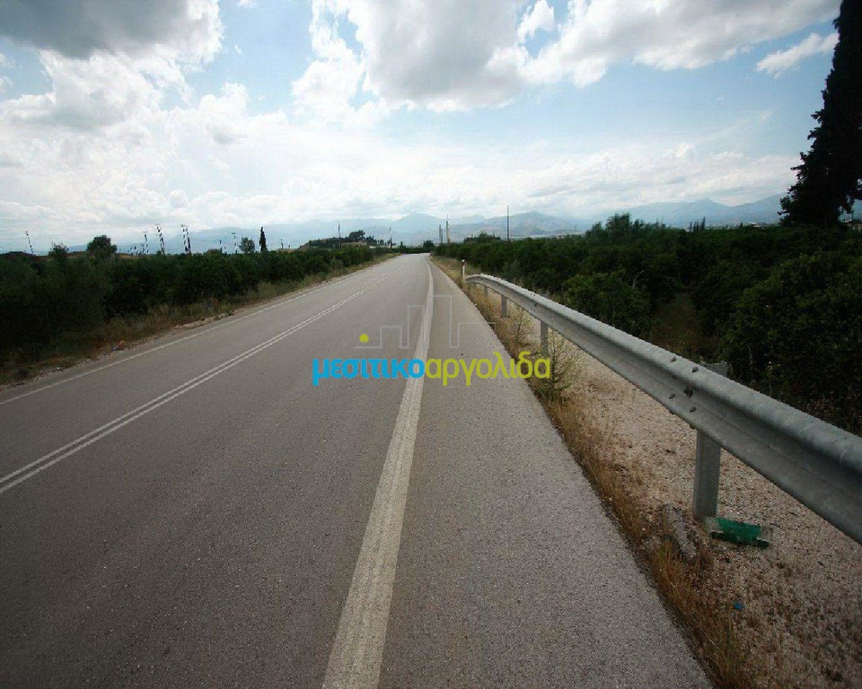 Αγροτεμάχια 4.000 τ.μ. προς πώληση, Αργολίδα, Νέα Τίρυνθα