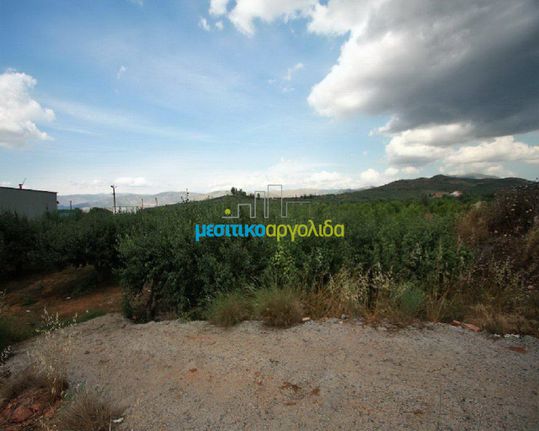 Αγροτεμάχια 4.000 τ.μ. προς πώληση