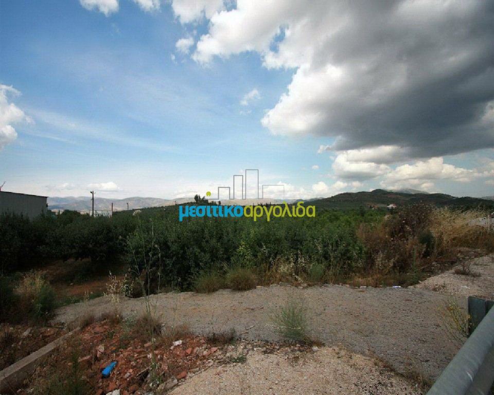Αγροτεμάχια 4.000 τ.μ. προς πώληση, Αργολίδα, Νέα Τίρυνθα