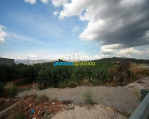 Αγροτεμάχια 4.000 τ.μ. προς πώληση, Αργολίδα, Νέα Τίρυνθα-thumb-4